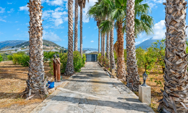 Reventa - Finca / Casa de Campo - La Nucía