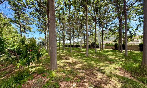 Resale - Villa - Pedreguer