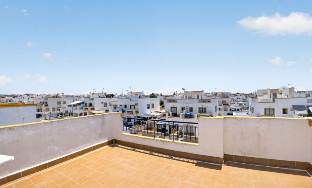 Wiederverkauf - Stadthaus - Torrevieja - La Siesta - El Salado -  Torreta