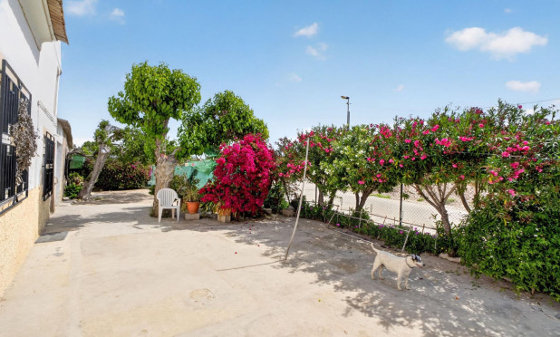 Herverkoop - Finca / Landelijke woning - Orihuela - Desamparados-Hurchillo-Torremendo
