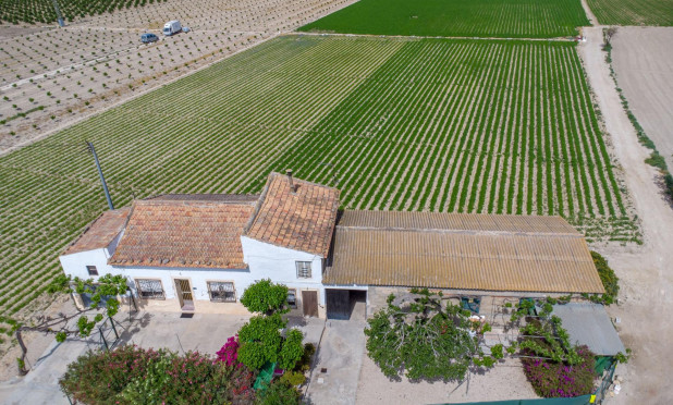 Herverkoop - Finca / Landelijke woning - Orihuela - Desamparados-Hurchillo-Torremendo