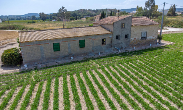 Herverkoop - Finca / Landelijke woning - Orihuela - Desamparados-Hurchillo-Torremendo