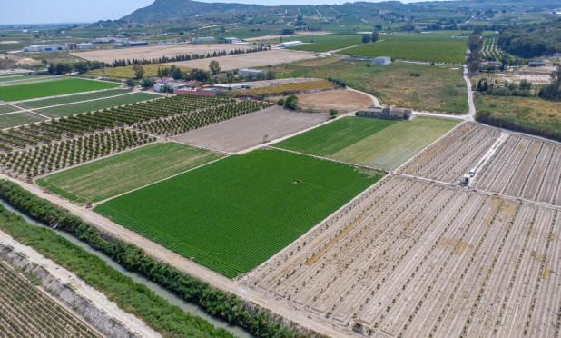 Herverkoop - Finca / Landelijke woning - Orihuela - Desamparados-Hurchillo-Torremendo