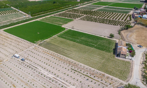 Herverkoop - Finca / Landelijke woning - Orihuela - Desamparados-Hurchillo-Torremendo