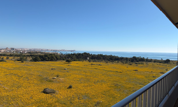 Reventa - Ático - Torrevieja - Punta Prima