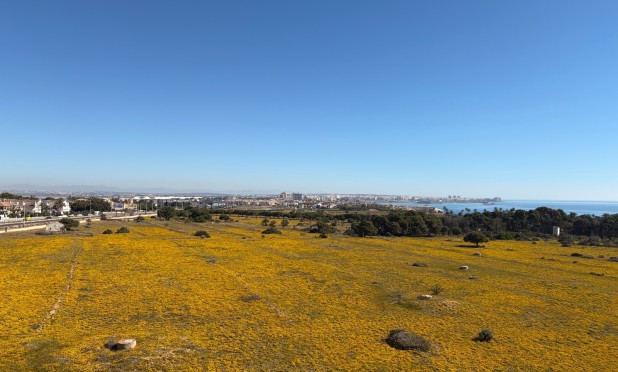 Reventa - Ático - Torrevieja - Punta Prima