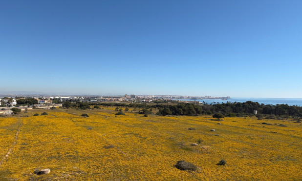 Reventa - Ático - Torrevieja - Punta Prima