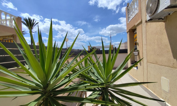 Revente - Appartement - Torrevieja - torrevieja
