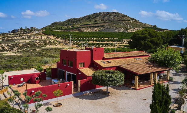 Revente - Finca / Propriété rurale - Orihuela - Torremendo