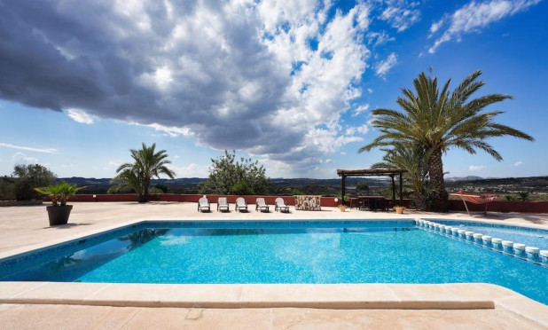 Revente - Finca / Propriété rurale - Orihuela - Torremendo