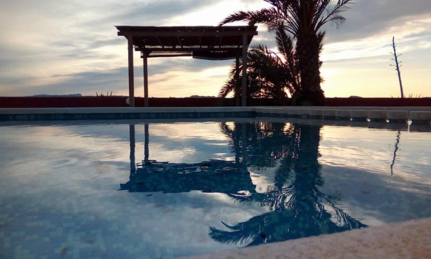 Revente - Finca / Propriété rurale - Orihuela - Torremendo