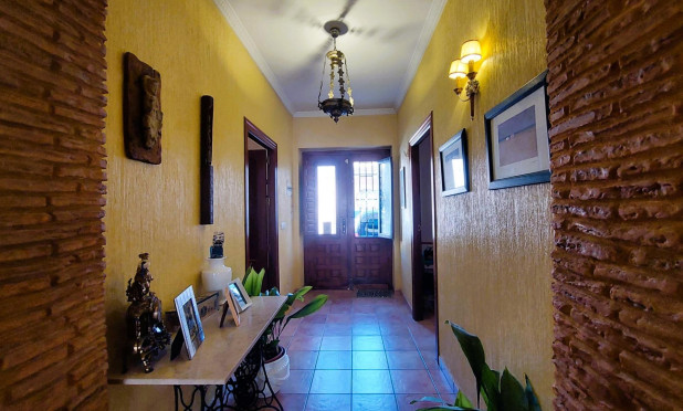 Revente - Finca / Propriété rurale - Torrevieja - Centro