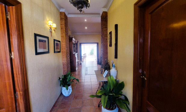 Revente - Finca / Propriété rurale - Torrevieja - Centro