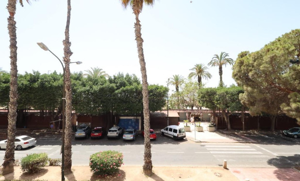 Herverkoop - Appartement / flat - Torrevieja - torrevieja