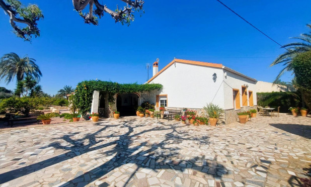 Revente - Finca / Propriété rurale - La Marina