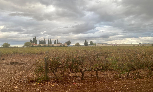 Herverkoop - wine cellar - Albacete