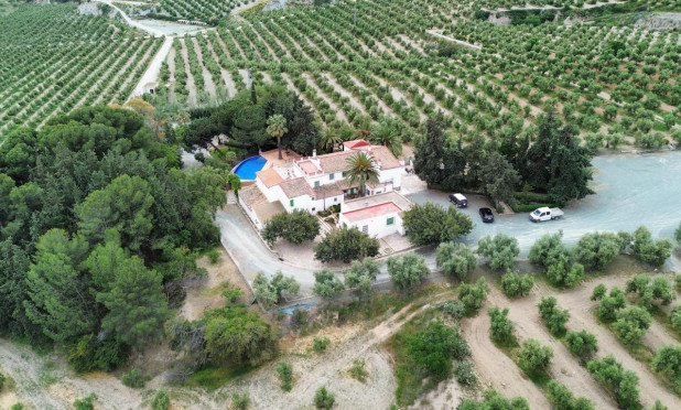 Revente - Finca / Propriété rurale - Puerto Lumbreras - Nogalte