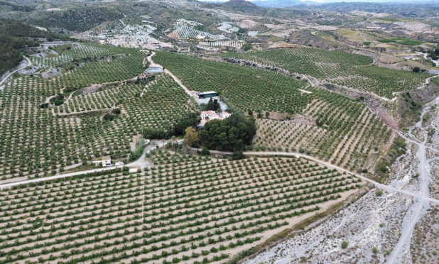 Revente - Finca / Propriété rurale - Puerto Lumbreras - Nogalte