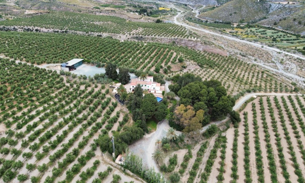 Revente - Finca / Propriété rurale - Puerto Lumbreras - Nogalte