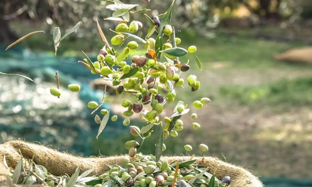 Revente - Finca / Propriété rurale - Puerto Lumbreras - Nogalte