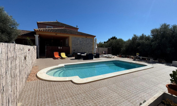 Revente - Finca / Propriété rurale - Albatera - BARRANCO SAN CAYETANO