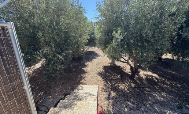 Revente - Finca / Propriété rurale - Albatera - BARRANCO SAN CAYETANO