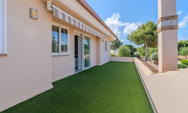 Revente - Finca / Propriété rurale - San Miguel de Salinas - Torremendo
