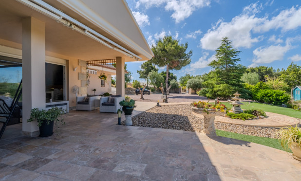 Revente - Finca / Propriété rurale - San Miguel de Salinas - Torremendo
