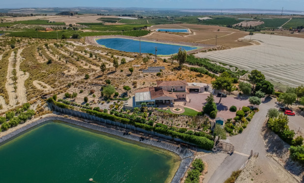 Revente - Finca / Propriété rurale - San Miguel de Salinas - Torremendo