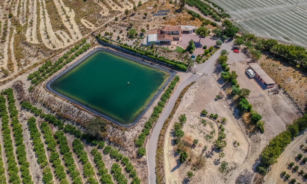 Revente - Finca / Propriété rurale - San Miguel de Salinas - Torremendo