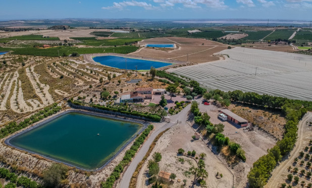 Revente - Finca / Propriété rurale - San Miguel de Salinas - Torremendo