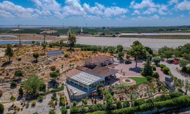 Revente - Finca / Propriété rurale - San Miguel de Salinas - Torremendo