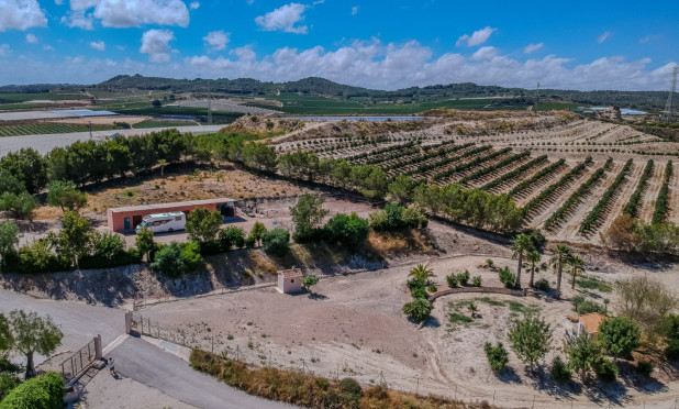 Revente - Finca / Propriété rurale - San Miguel de Salinas - Torremendo