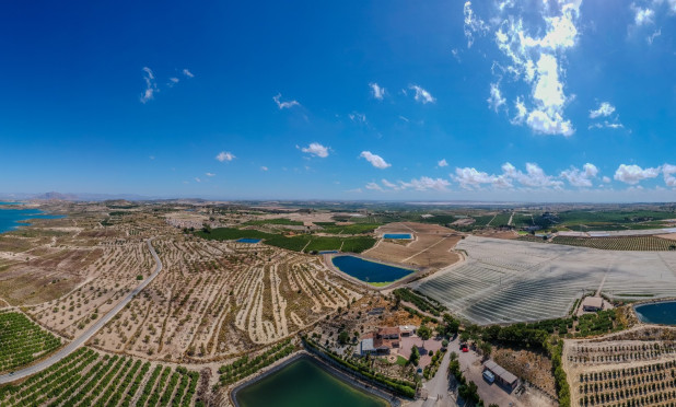 Revente - Finca / Propriété rurale - San Miguel de Salinas - Torremendo