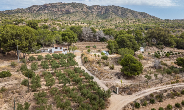 Reventa - Apartamento / piso - LA TERCIA - La Tercia