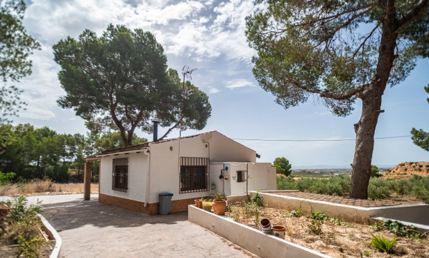 Reventa - Apartamento / piso - LA TERCIA - La Tercia