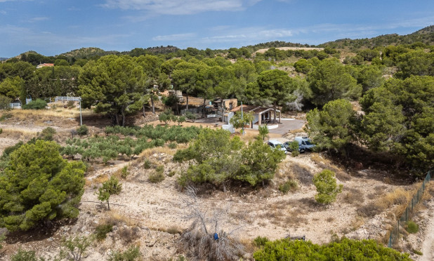 Reventa - Apartamento / piso - LA TERCIA - La Tercia