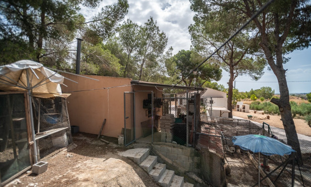 Reventa - Apartamento / piso - LA TERCIA - La Tercia
