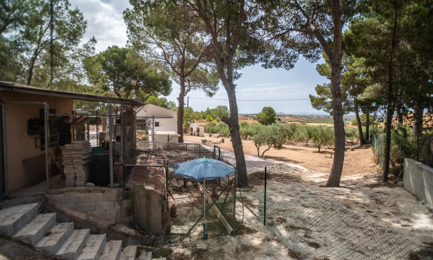 Reventa - Apartamento / piso - LA TERCIA - La Tercia