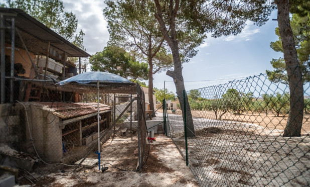 Reventa - Apartamento / piso - LA TERCIA - La Tercia
