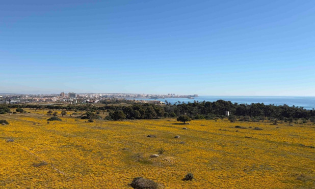 Resale - Apartment / flat - Orihuela Costa - Punta Prima
