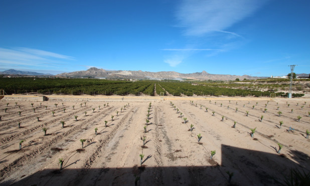 Resale - Finca / Country House - Murcia - Costa Blanca Sur