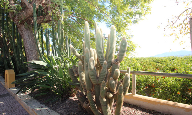 Resale - Finca / Country House - Murcia - Costa Blanca Sur