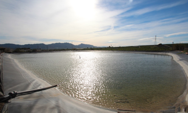 Resale - Finca / Country House - Murcia - Costa Blanca Sur