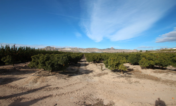 Resale - Finca / Country House - Murcia - Costa Blanca Sur