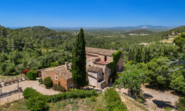Resale - Finca / Country House - Felanitx - Mallorca