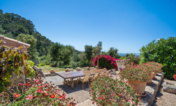 Resale - Finca / Country House - Felanitx - Mallorca