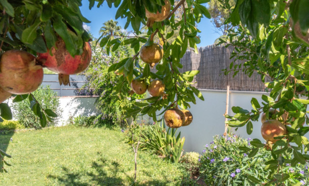 Resale - Villa - Marrachí - Mallorca