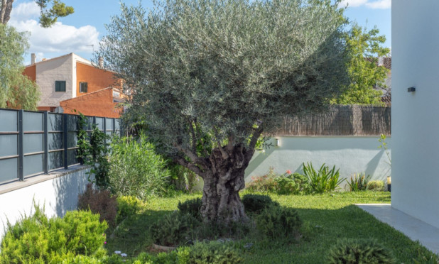 Resale - Villa - Marrachí - Mallorca