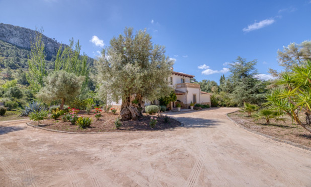 Resale - Villa - Esporlas - Mallorca